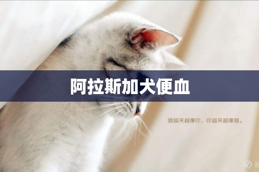 阿拉斯加犬便血