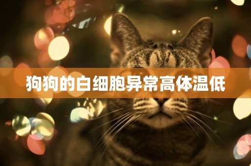 狗狗的白細胞異常高體溫低