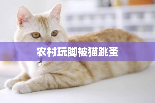 農村玩腳被貓跳蚤