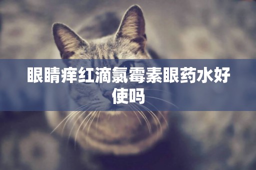 眼睛癢紅滴氯霉素眼藥水好使嗎
