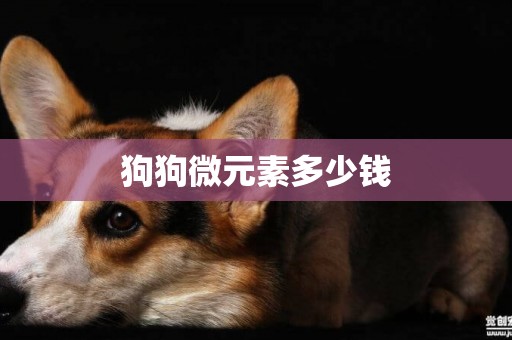 狗狗微元素多少錢