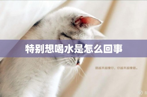 特別想喝水是怎么回事