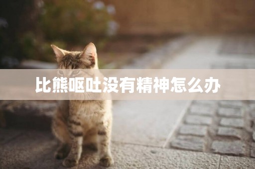 比熊嘔吐沒有精神怎么辦
