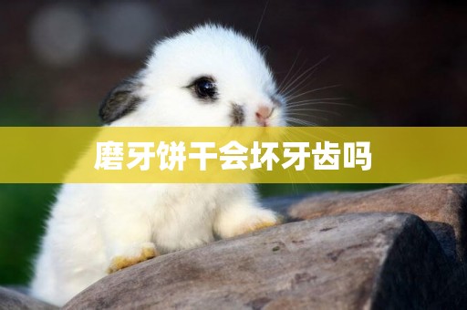 磨牙餅干會壞牙齒嗎