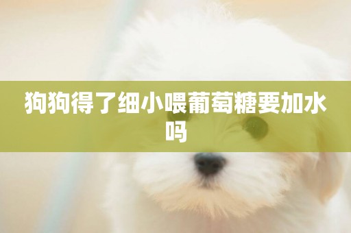 狗狗得了細小喂葡萄糖要加水嗎