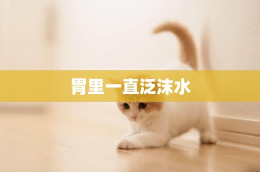 胃里一直泛沫水
