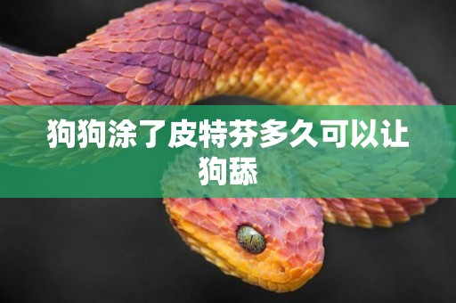 狗狗涂了皮特芬多久可以讓狗舔