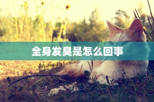 全身發臭是怎么回事