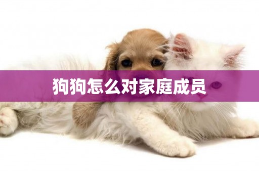 狗狗怎么對家庭成員