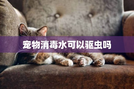 寵物消毒水可以驅蟲嗎