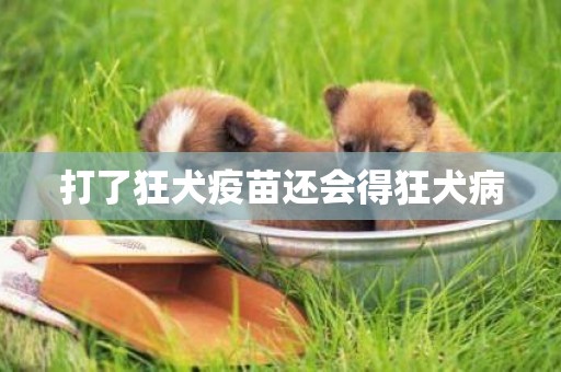 打了狂犬疫苗還會得狂犬病