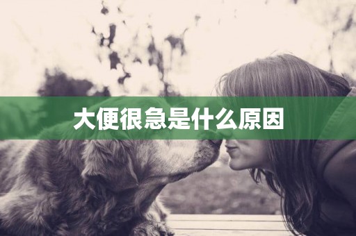 大便很急是什么原因