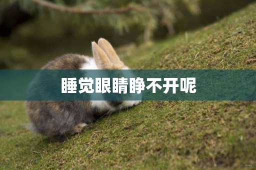 睡覺眼睛睜不開呢