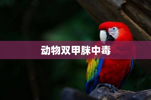 動物雙甲脒中毒