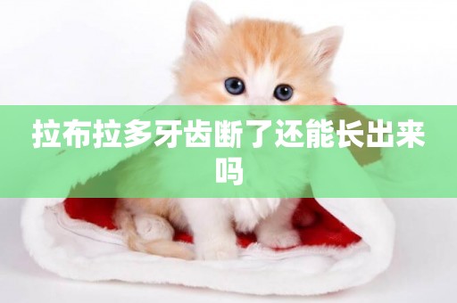 拉布拉多牙齒斷了還能長出來嗎