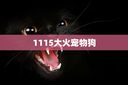 1115大火寵物狗