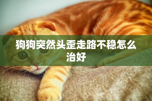 狗狗突然頭歪走路不穩怎么治好
