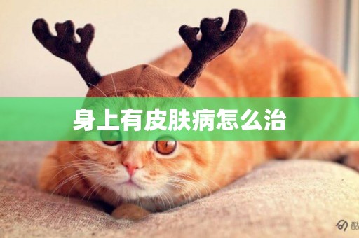 身上有皮膚病怎么治