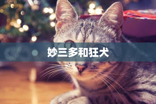 妙三多和狂犬