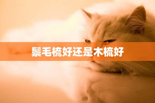 鬃毛梳好還是木梳好