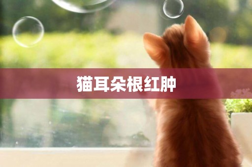 貓耳朵根紅腫