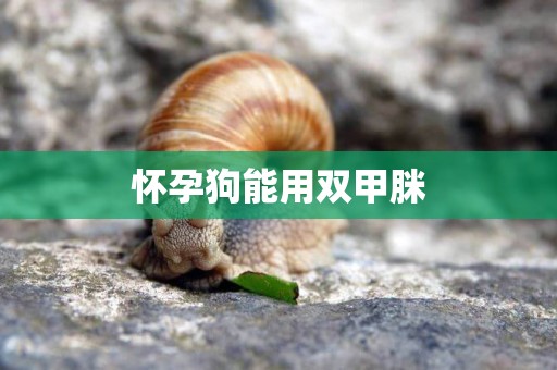 懷孕狗能用雙甲脒