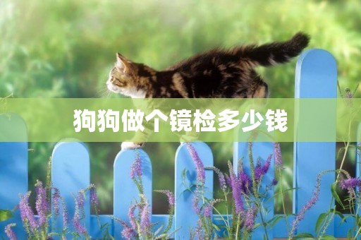 狗狗做個鏡檢多少錢