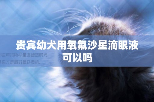 貴賓幼犬用氧氟沙星滴眼液可以嗎