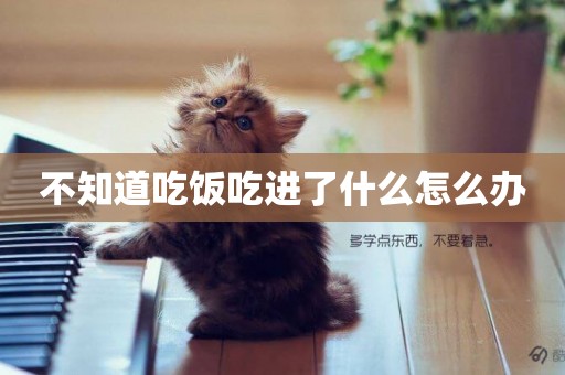 不知道吃飯吃進了什么怎么辦