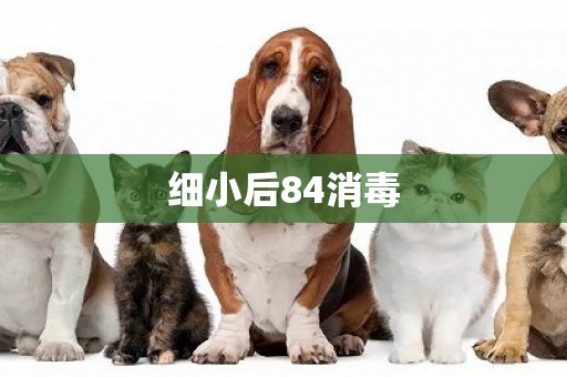 細小后84消毒