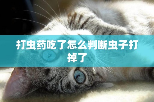 打蟲藥吃了怎么判斷蟲子打掉了