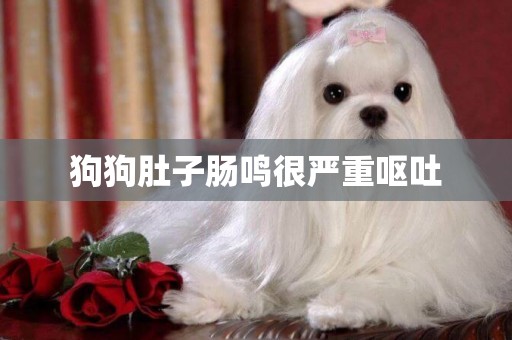 狗狗肚子腸鳴很嚴重嘔吐