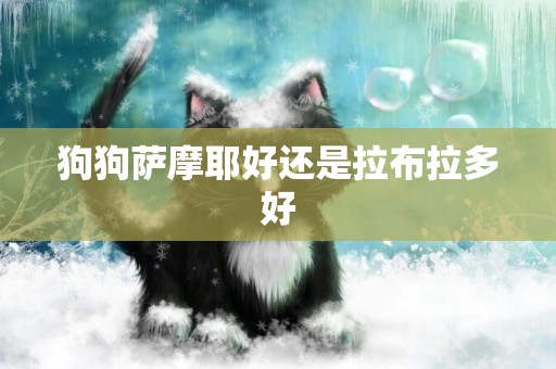 狗狗薩摩耶好還是拉布拉多好