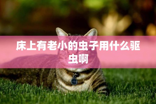 床上有老小的蟲子用什么驅蟲啊