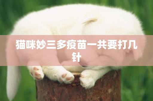 貓咪妙三多疫苗一共要打幾針