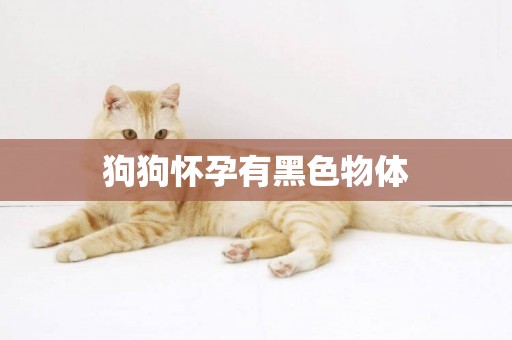 狗狗懷孕有黑色物體