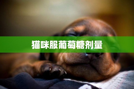 貓咪服葡萄糖劑量