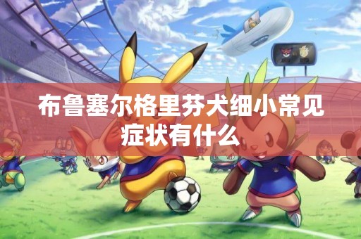 布魯塞爾格里芬犬細小常見癥狀有什么