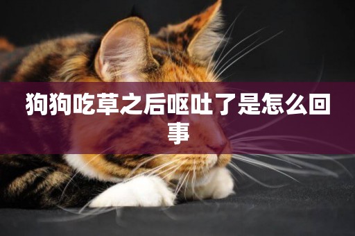 狗狗吃草之后嘔吐了是怎么回事