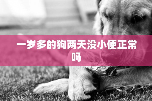 一歲多的狗兩天沒小便正常嗎