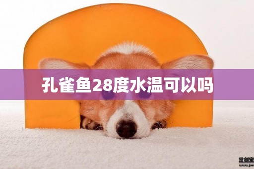 孔雀魚28度水溫可以嗎