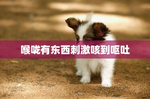 喉嚨有東西刺激咳到嘔吐