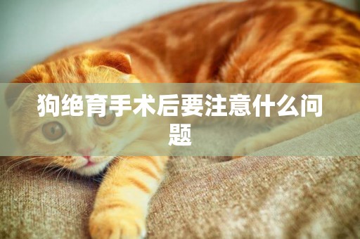 狗絕育手術后要注意什么問題