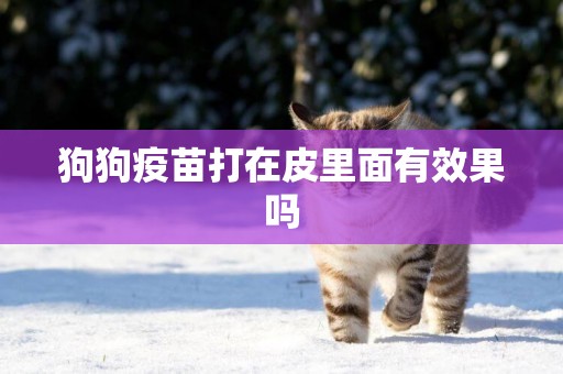 狗狗疫苗打在皮里面有效果嗎