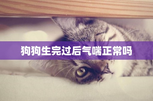 狗狗生完過后氣喘正常嗎