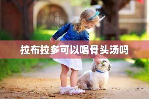 拉布拉多可以喝骨頭湯嗎