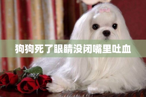 狗狗死了眼睛沒閉嘴里吐血