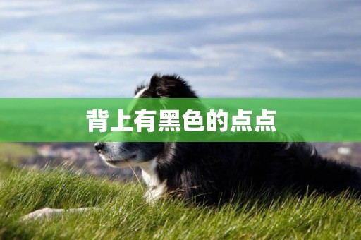 背上有黑色的點點