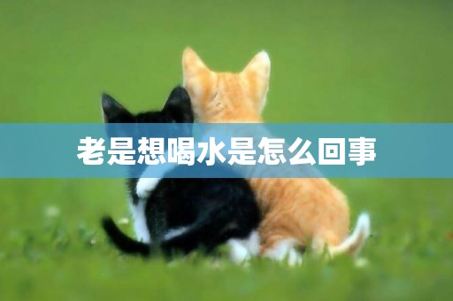 老是想喝水是怎么回事