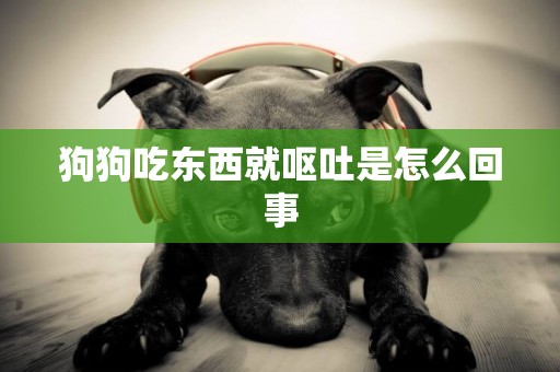 狗狗吃東西就嘔吐是怎么回事